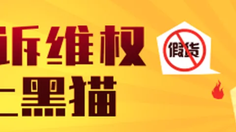 海佐尼亚挑战：国际赛场辉煌，试炼不容忽视